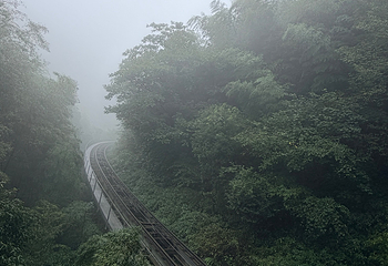 天目湖南山竹海第 202 张图片