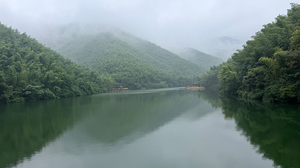天目湖南山竹海第 173 张图片