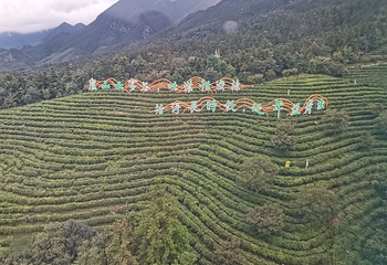 庐山风景名胜区第 190 张图片