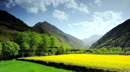 卧牛山森林公园第 1 张图片