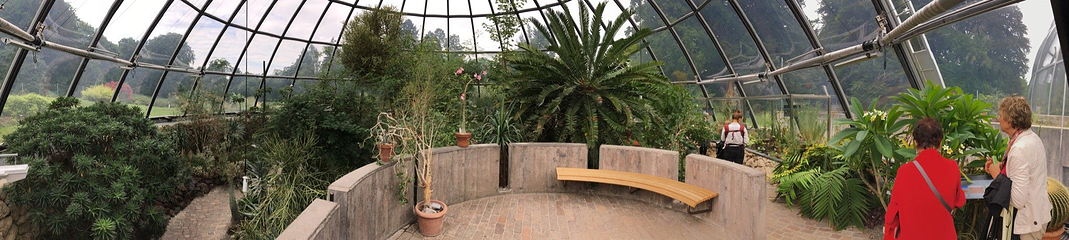 苏黎世植物园第 26 张图片