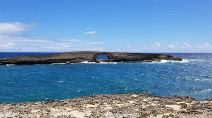 Lāʻie Point State Wayside第 6 张图片