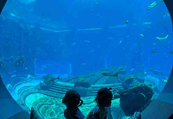 三亚亚特兰蒂斯失落的空间水族馆第 228 张图片