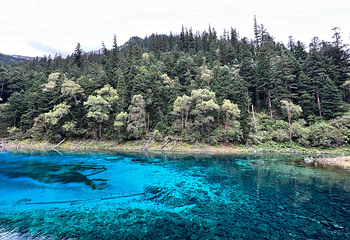 九寨沟风景区第 403 张图片