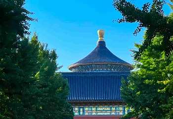 天坛公园第 205 张图片