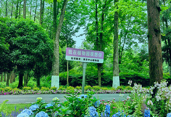 南京中山植物园第 43 张图片