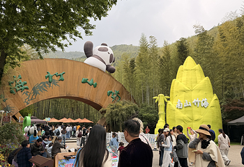 天目湖南山竹海第 123 张图片