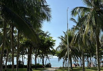 海棠湾第 120 张图片