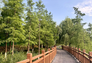 洞庭湖第 87 张图片