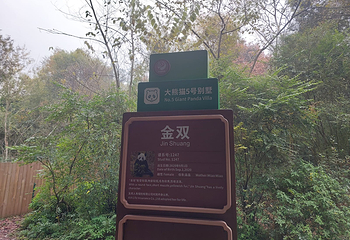 成都大熊猫繁育研究基地第 633 张图片