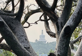 景山公园第 74 张图片
