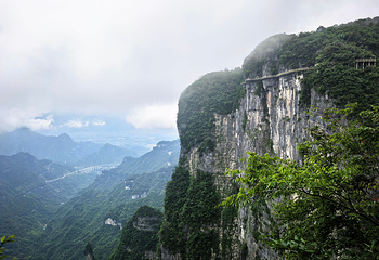 天门山国家森林公园第 175 张图片