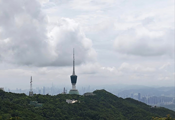 广东梧桐山国家森林公园第 14 张图片