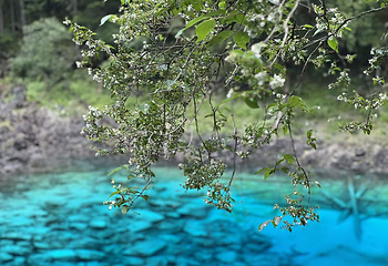 九寨沟风景区第 505 张图片