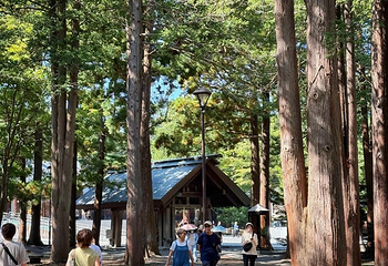 北海道神宫第 21 张图片