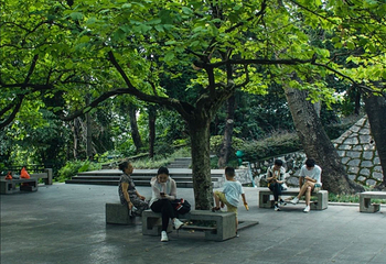 越秀公园第 180 张图片