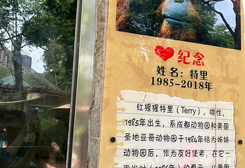 成都动物园第 65 张图片