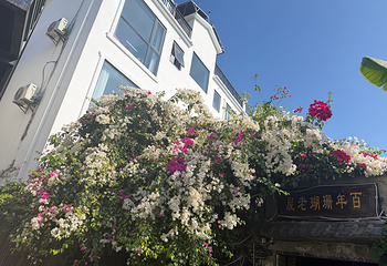 西岛第 222 张图片