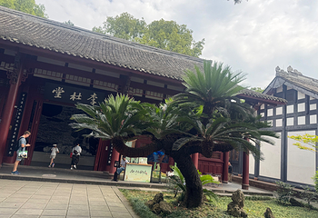 杜甫草堂第 216 张图片