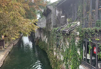 周庄第 256 张图片