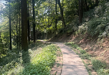 莫干山风景名胜区第 103 张图片