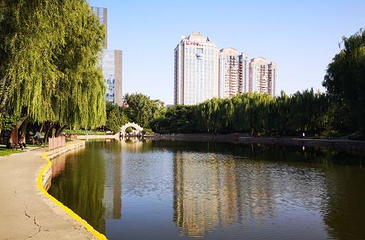 团结湖公园第 70 张图片