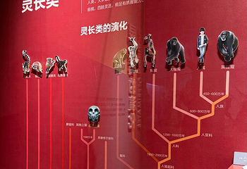 国家自然博物馆第 56 张图片