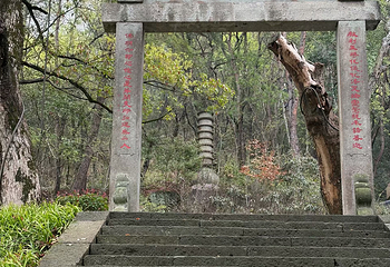 新昌大佛寺景区第 91 张图片