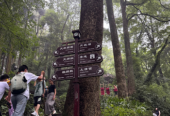 青城山第 346 张图片