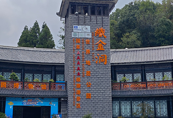织金洞第 53 张图片