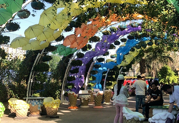 迪拜蝴蝶园第 19 张图片