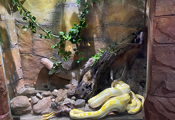 河内时代之城水族馆第 12 张图片