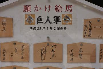 青岛神社第 9 张图片