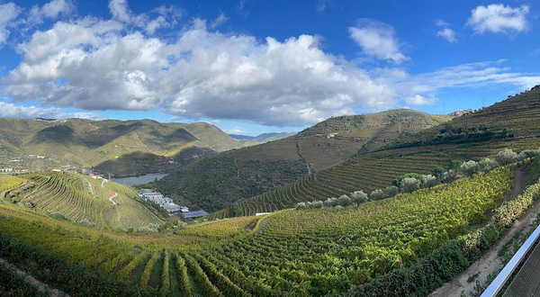 Quinta Santa Eufemia