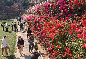 红螺寺第 108 张图片