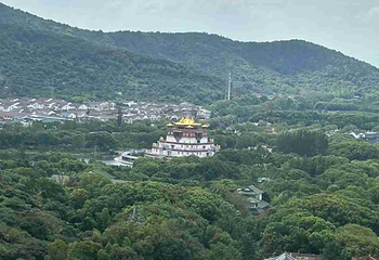 灵山大佛第 275 张图片