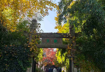 惠山古镇·寄畅园第 173 张图片