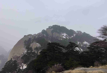 华山第 318 张图片