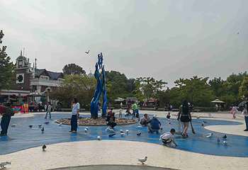 鸽子窝公园第 59 张图片