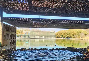 春晖园温泉会第 30 张图片