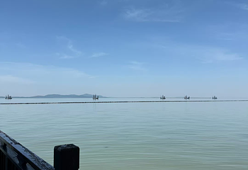 太湖第 51 张图片