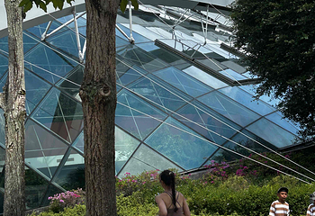 新加坡滨海湾花园第 473 张图片