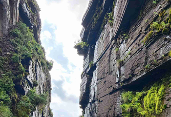 梵净山第 51 张图片