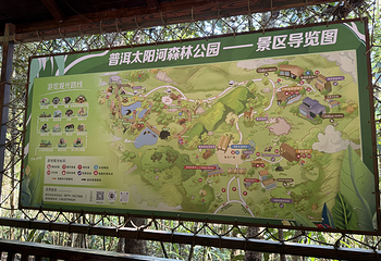 太阳河森林公园第 79 张图片
