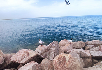 青海湖景区第 158 张图片