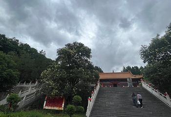 中原大佛景区第 25 张图片