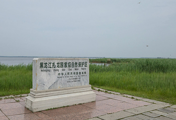 扎龙生态旅游区第 59 张图片
