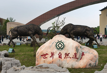 中华麋鹿园第 64 张图片