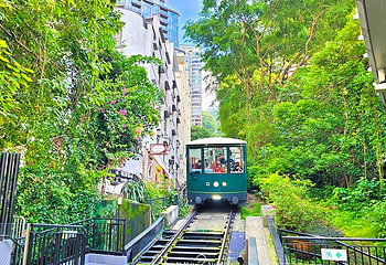 太平山顶第 46 张图片