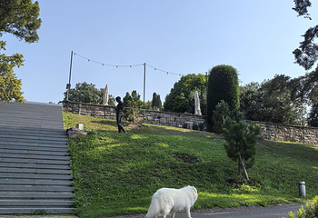 奥林匹克公园第 26 张图片